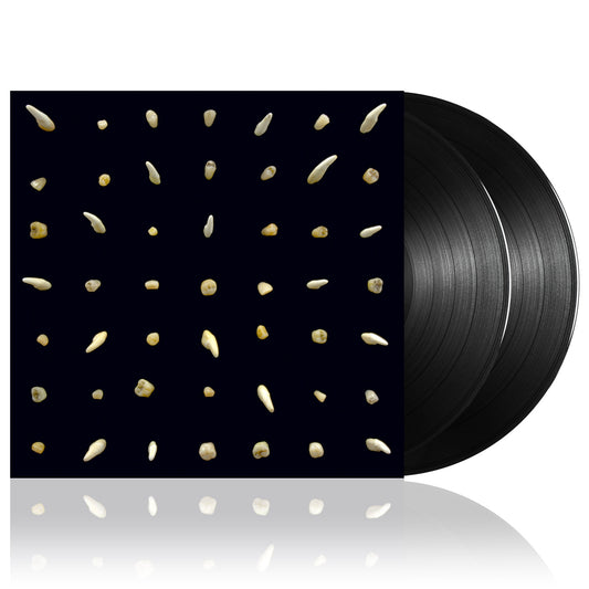 Clipping (Visions Of Bodies Being Burned) 2xBlack Vinyl