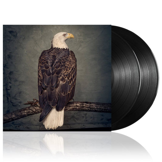 Clutch (Book Of Bad Decisions) 2xBlack Vinyl