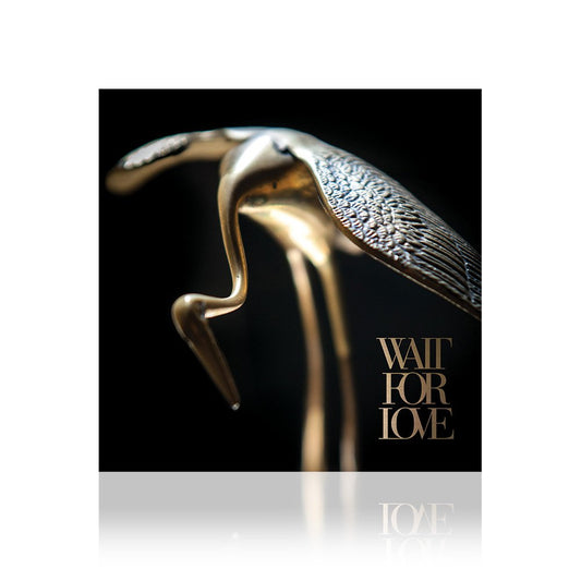 Pianos Become The Teeth (Wait For Love) CD