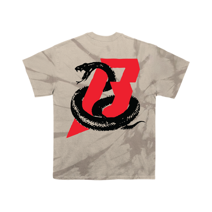 Beartooth (Snake On My Back PE Dye) T-Shirt