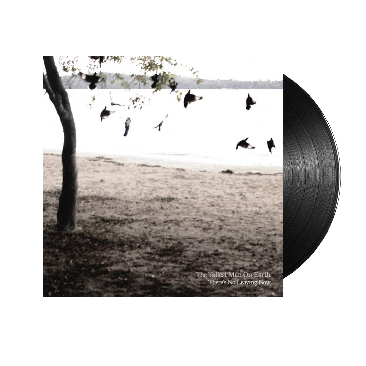 The Tallest Man On Earth (There's No Leaving Now) Black Vinyl
